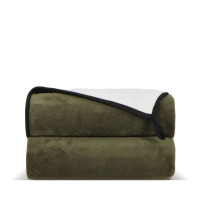 Dried Green